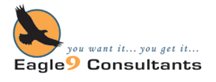 Eagle 9 Consultants