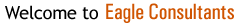 Welcome to Eagle Consultants Welcome to Eagle 9 Consultants